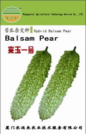 廈門農(nóng)運(yùn)來(lái)農(nóng)業(yè)技術(shù)服務(wù) 農(nóng)作物種子與種苗產(chǎn)品列表——水果種植篇
