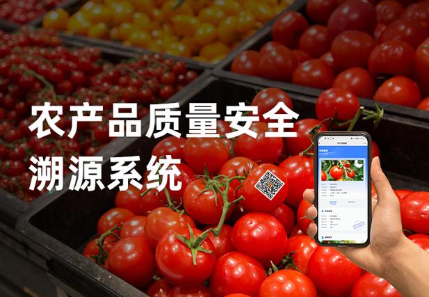 從田間到舌尖 水果種植中的農產品質量安全溯源系統